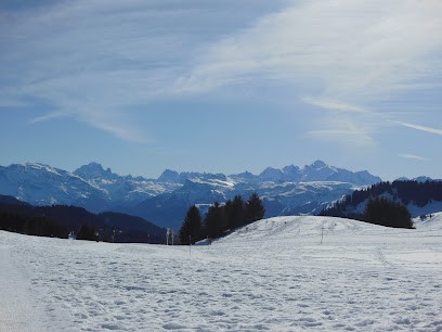Office De Tourisme Of Praz De Lys, Office de Tourisme à Taninges