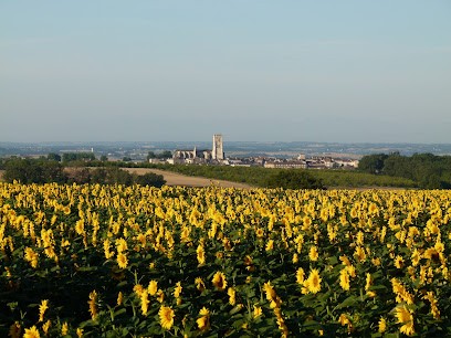 Office de Tourisme Gascogne Lomagne, Office de Tourisme à Lectoure