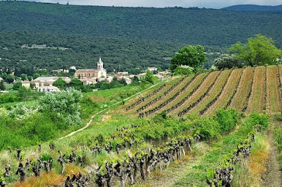 OTI Ventoux Sud - Bureau D'Informations Touristiques De Villes-sur-Auzon, Office de Tourisme à Villes-sur-Auzon