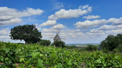 OFFICE DE TOURISME BEAUNE & PAYS BEAUNOIS - ANTENNE DE SANTENAY, Office de Tourisme à Santenay