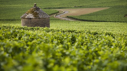 OFFICE DE TOURISME BEAUNE & PAYS BEAUNOIS - ANTENNE DE SAVIGNY LES BEAUNE, Office de Tourisme à Savigny-lès-Beaune