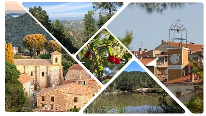 Bureau D'Information Touristique Puget Sur Argens - Office De Tourisme Intercommunal Puget/Les Adrets, Office de Tourisme à Puget-sur-Argens