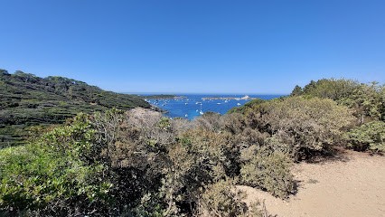 Île De Porquerolles, Office de Tourisme à Toulon