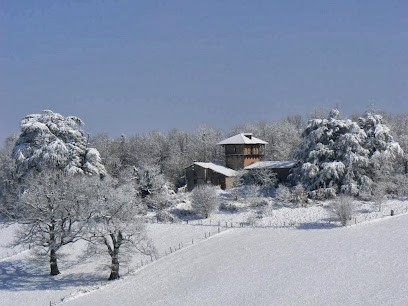 Office de Tourisme du Centre Tarn, Office de Tourisme à Montredon-Labessonnié