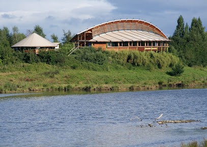 Office De Tourisme Forez-Est, Office de Tourisme à Montrond-les-Bains