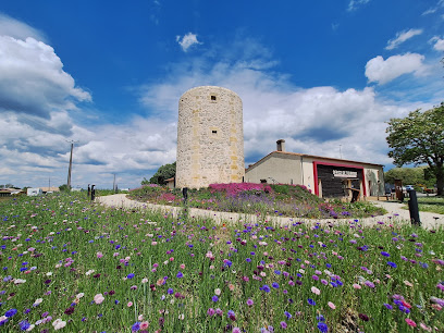 Office De Tourisme Latitude Nord Gironde, Office De Tourisme à Saint-Savin